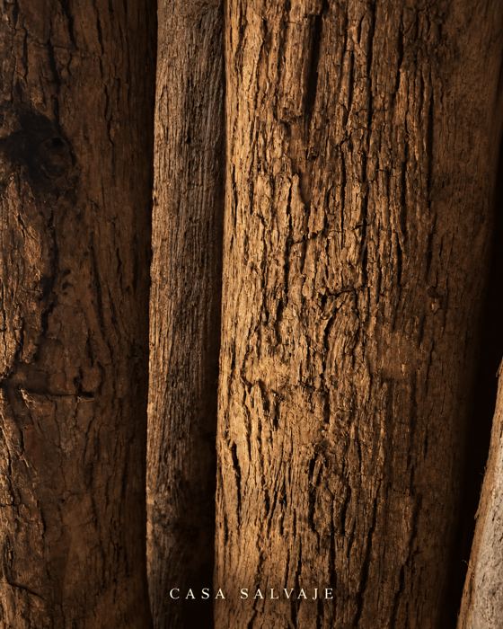 Madera vieja